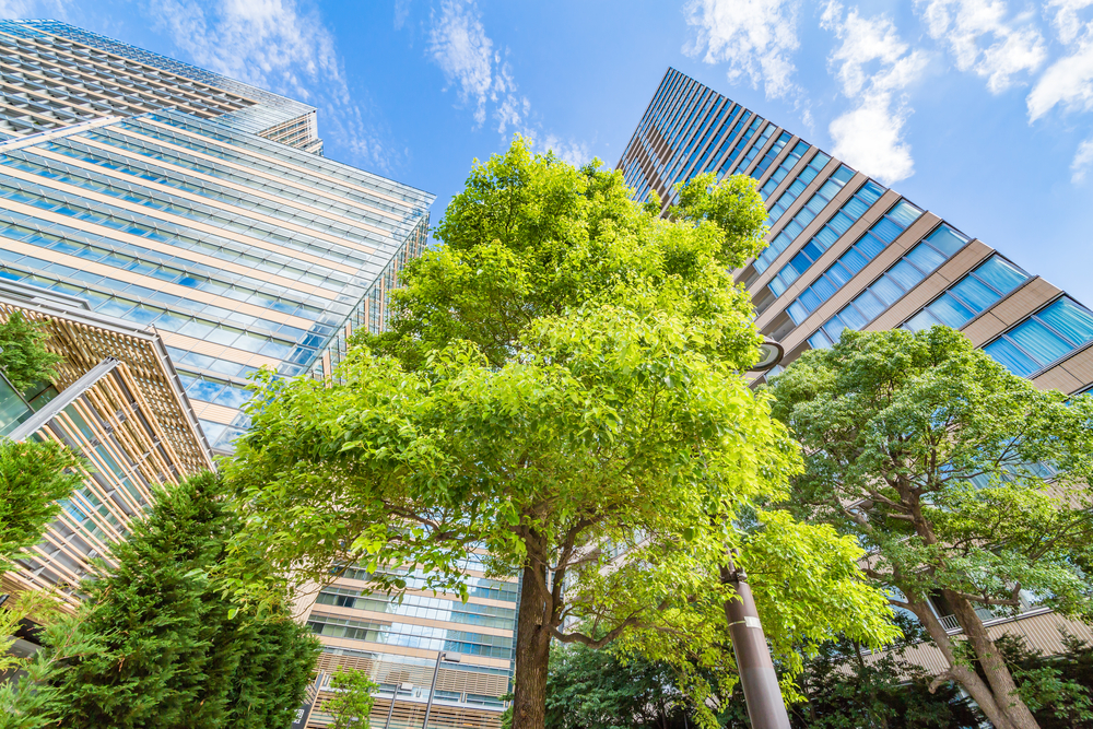 construction process of green building